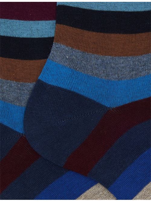 AP10312030822 FANTASIA gallo | AP10312030822 FANTASIA